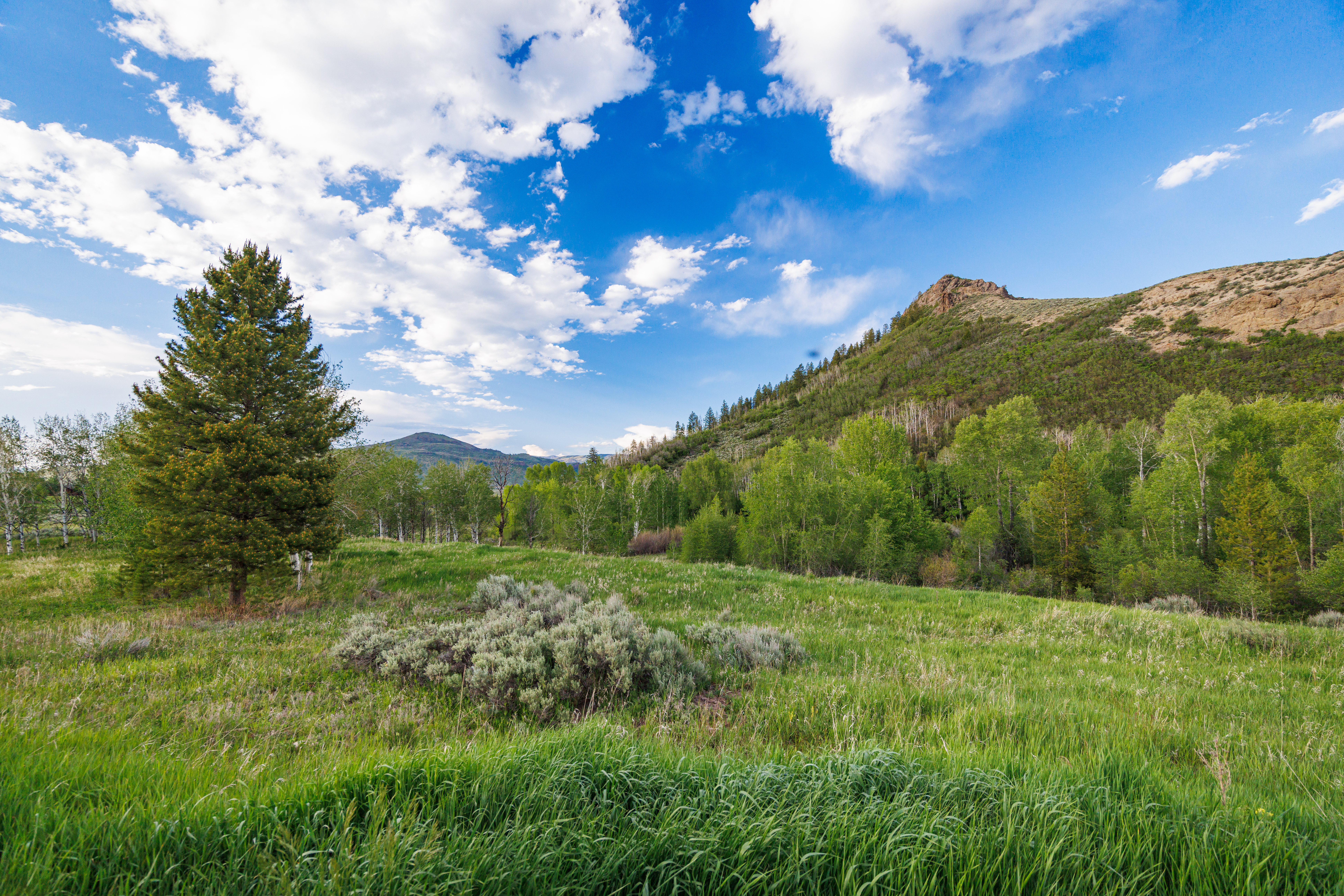  Prime High-Density Residential Development Opportunity in Stagecoach, Colorado - 物件實景