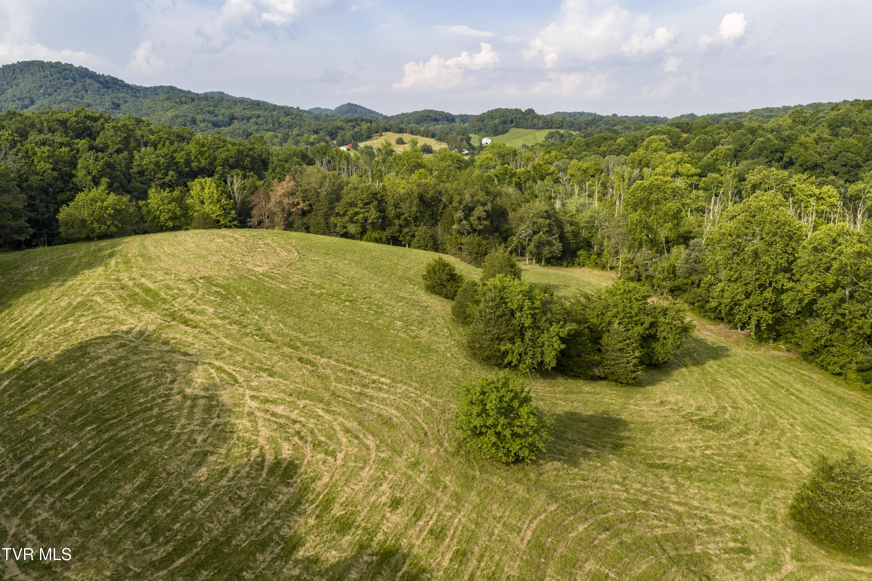 Piney Flats, Tennessee, 37686, United States, ,Land,For Sale,1983828