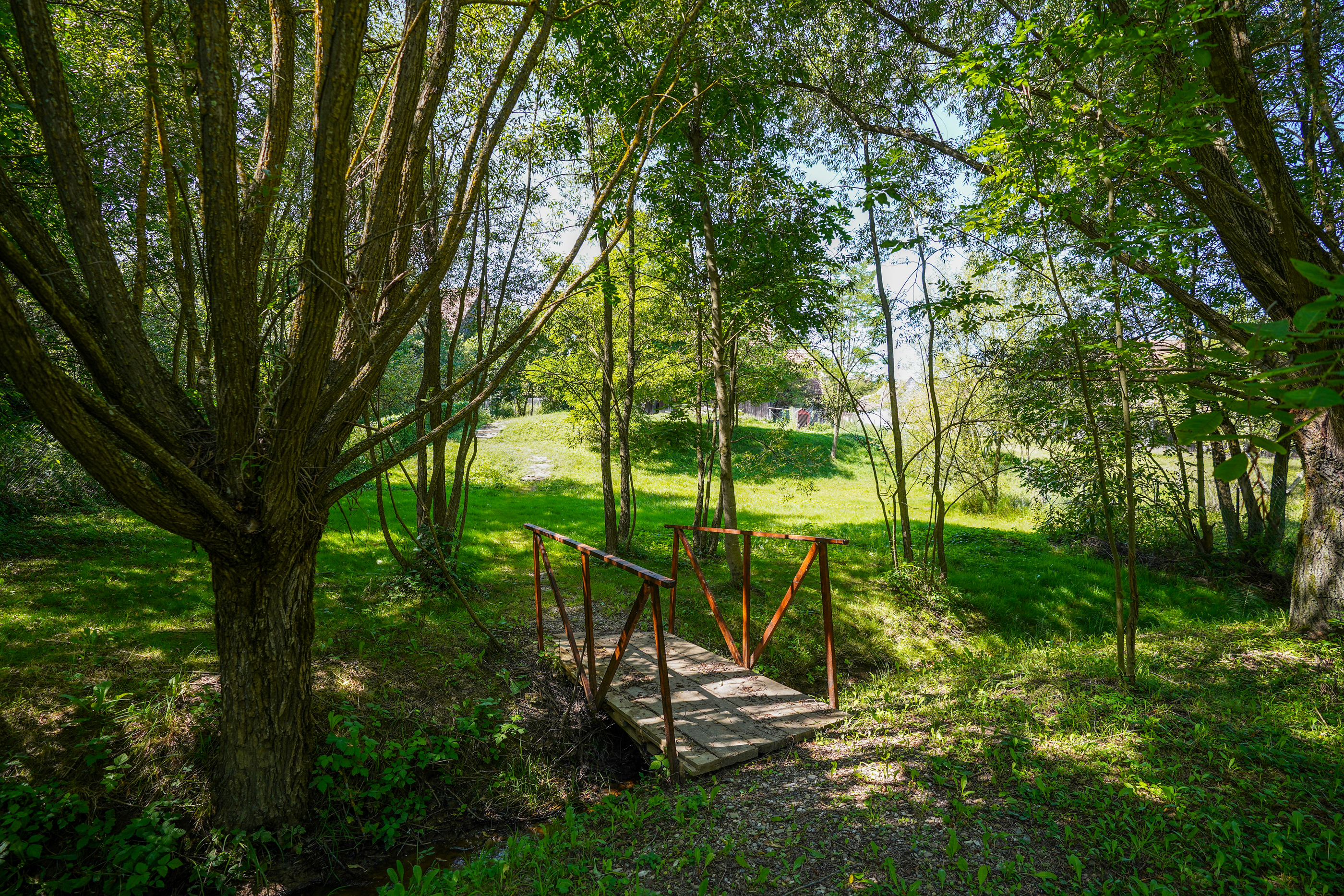  Restored Authentic Saxon House in Viscri, Between Heritage and Nature - 物件實景
