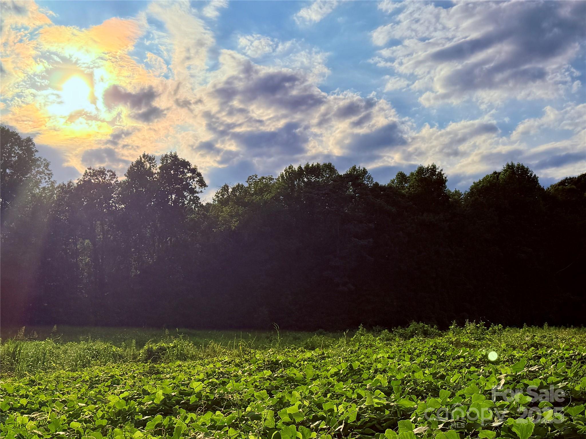 Columbus, North Carolina, 28756, United States, ,Land,For Sale,1975395