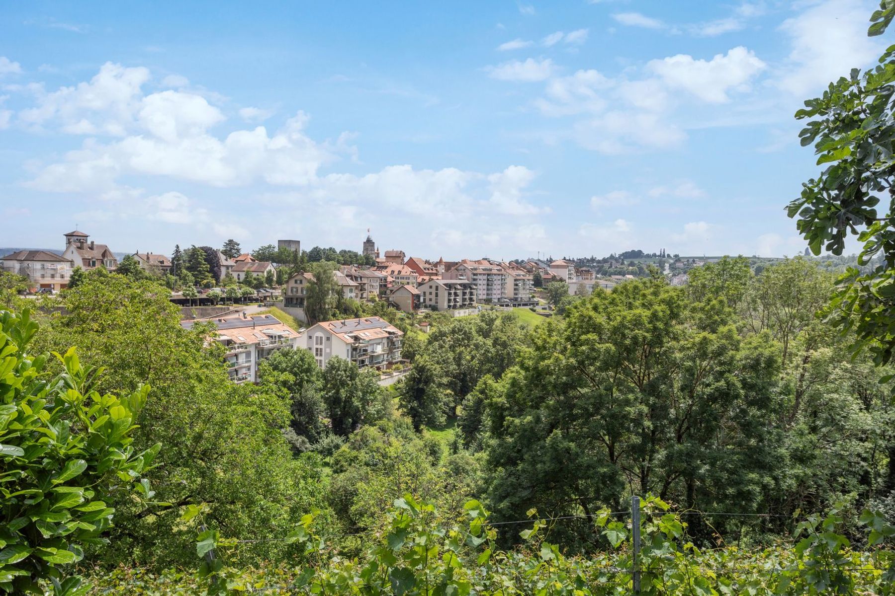  Sumptuous historic property on a wine-growing estate - 物件實景