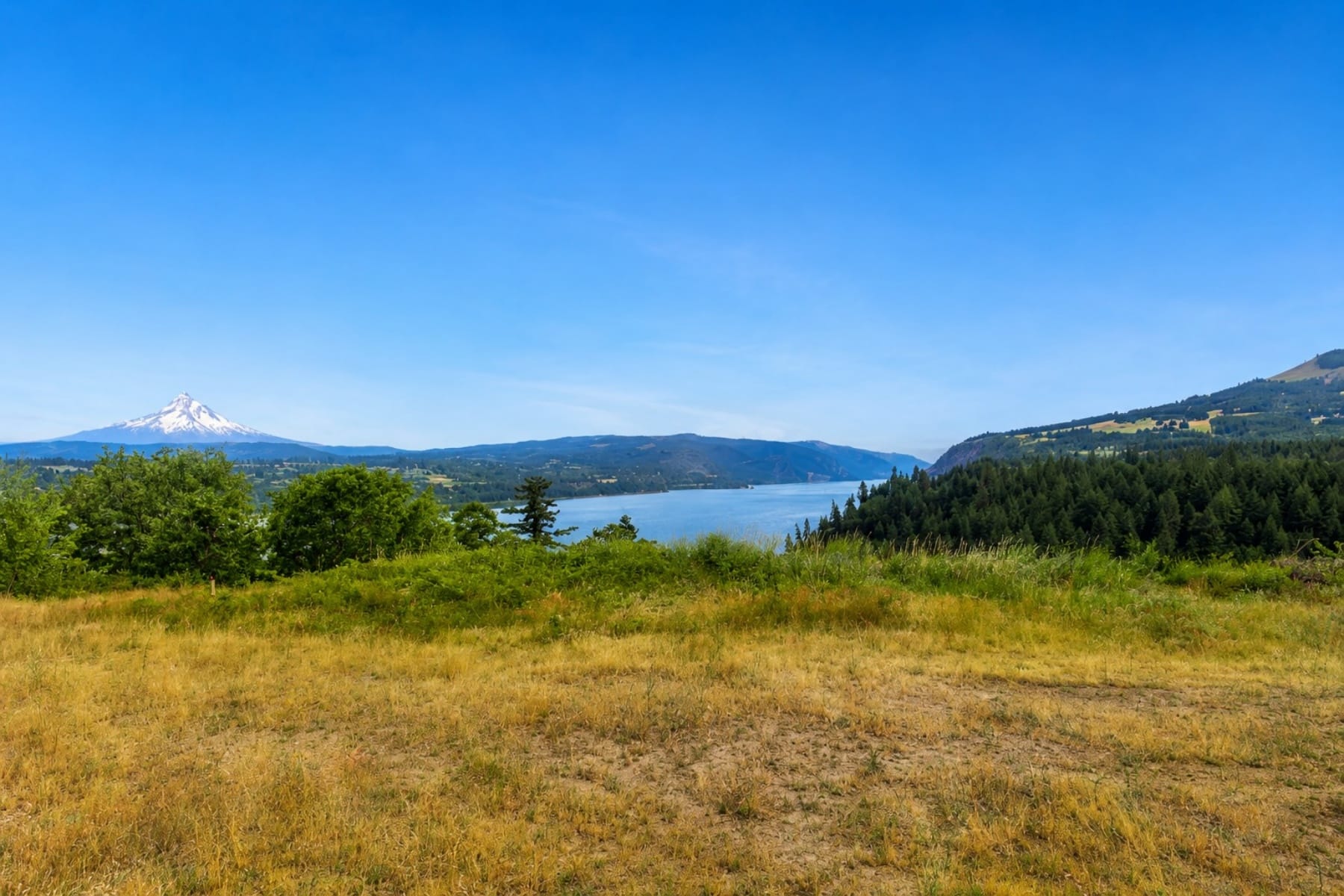  0 Sterling BLVD #Lot 3 White Salmon, WA 98672 - 物件實景