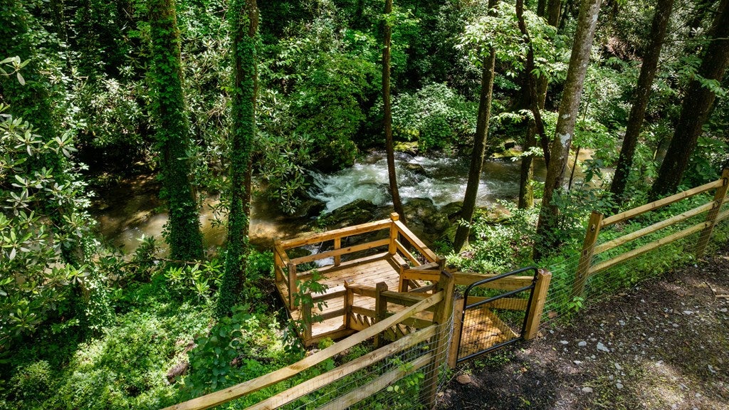Ellijay, Georgia, 30540, United States, 5 Bedrooms Bedrooms, ,5 BathroomsBathrooms,Residential,For Sale,1868155