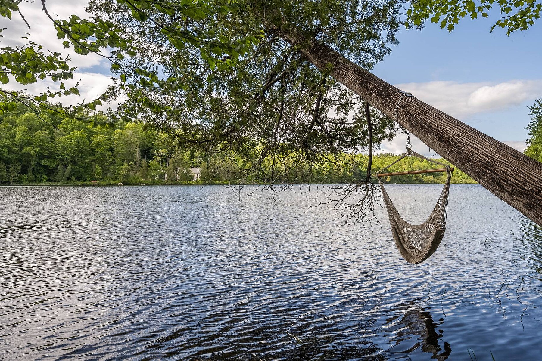  Austin, Eastern Townships - 物件實景