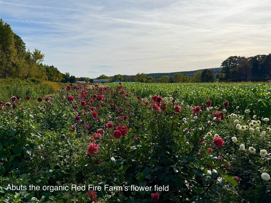 Montague, Massachusetts, 01351, United States, 3 Bedrooms Bedrooms, ,2 BathroomsBathrooms,Residential,For Sale,1956497