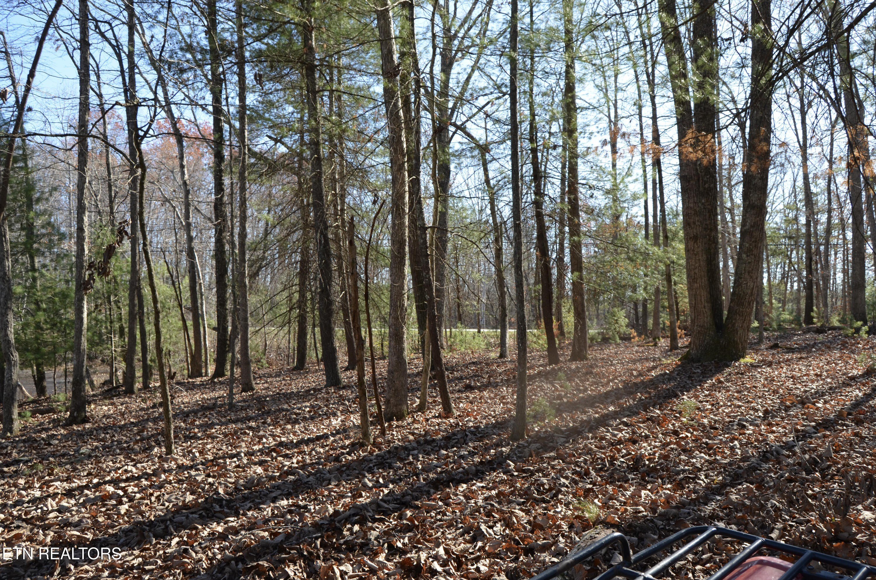 Crossville, Tennessee, 38555, United States, ,Land,For Sale,1978266