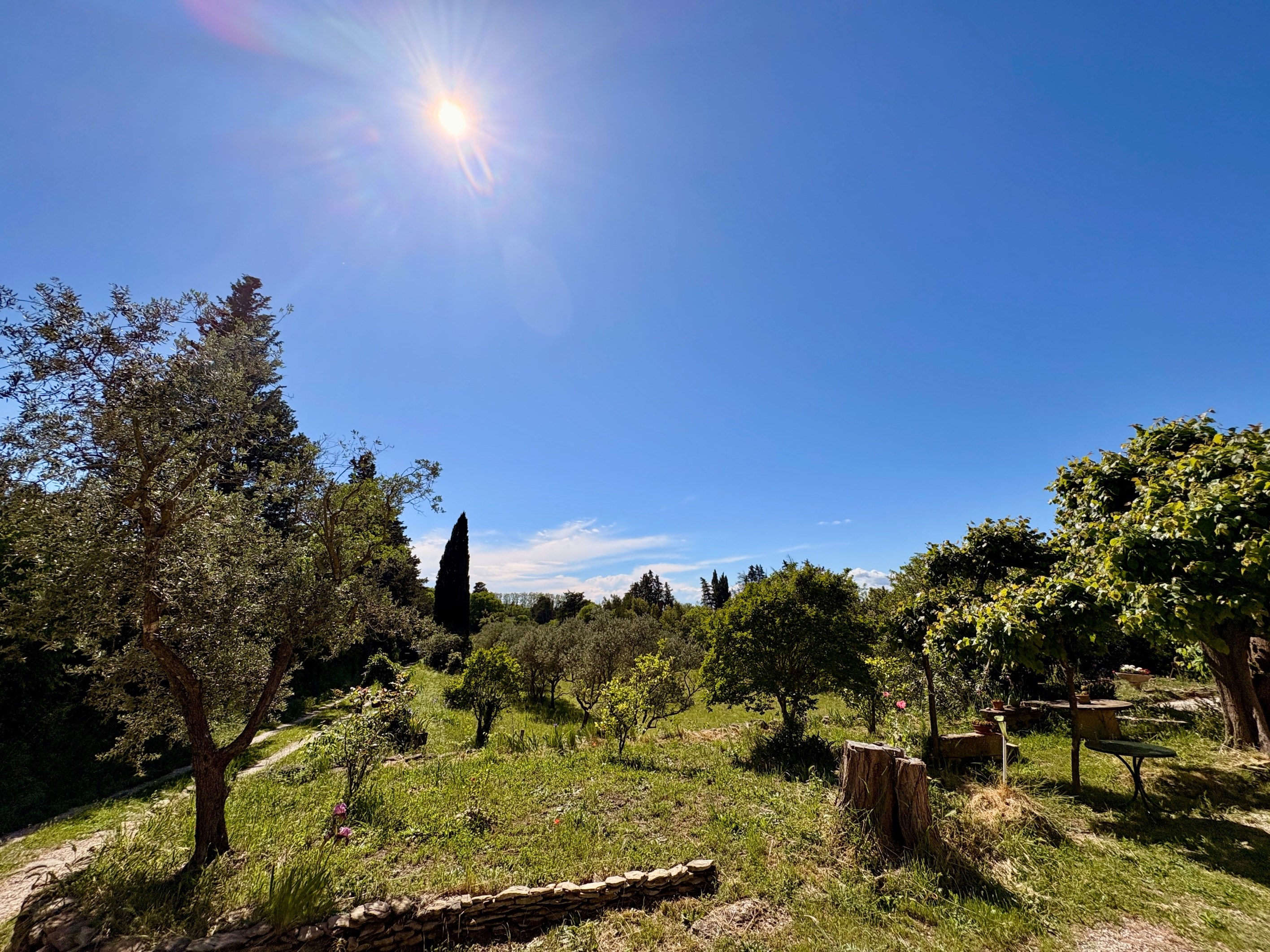  Authentic family farmhouse set in the heart of a private estate of more than 3 … - 物件實景