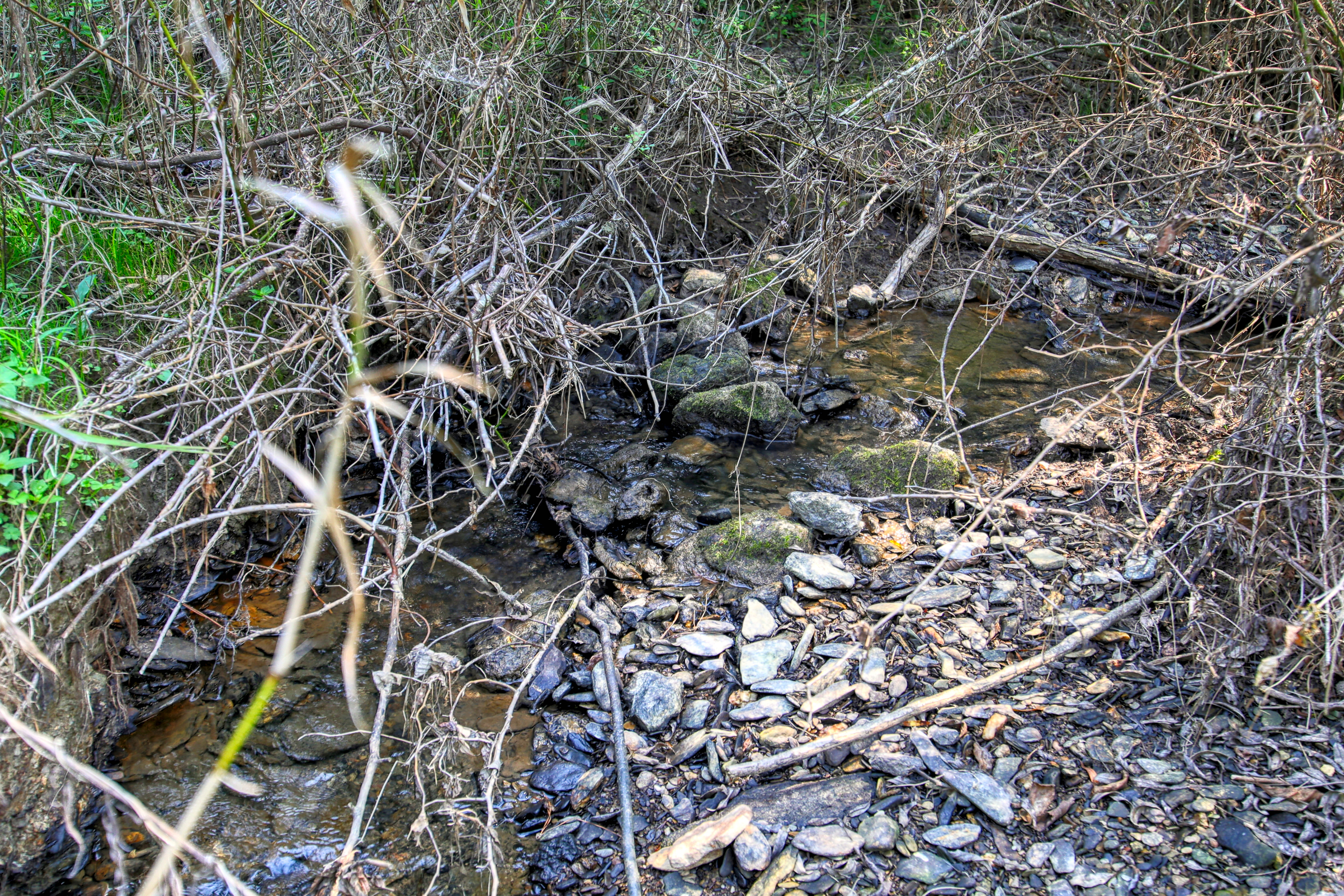 Belcher Loop, Tellico Plains, TN 37385 - 物件實景