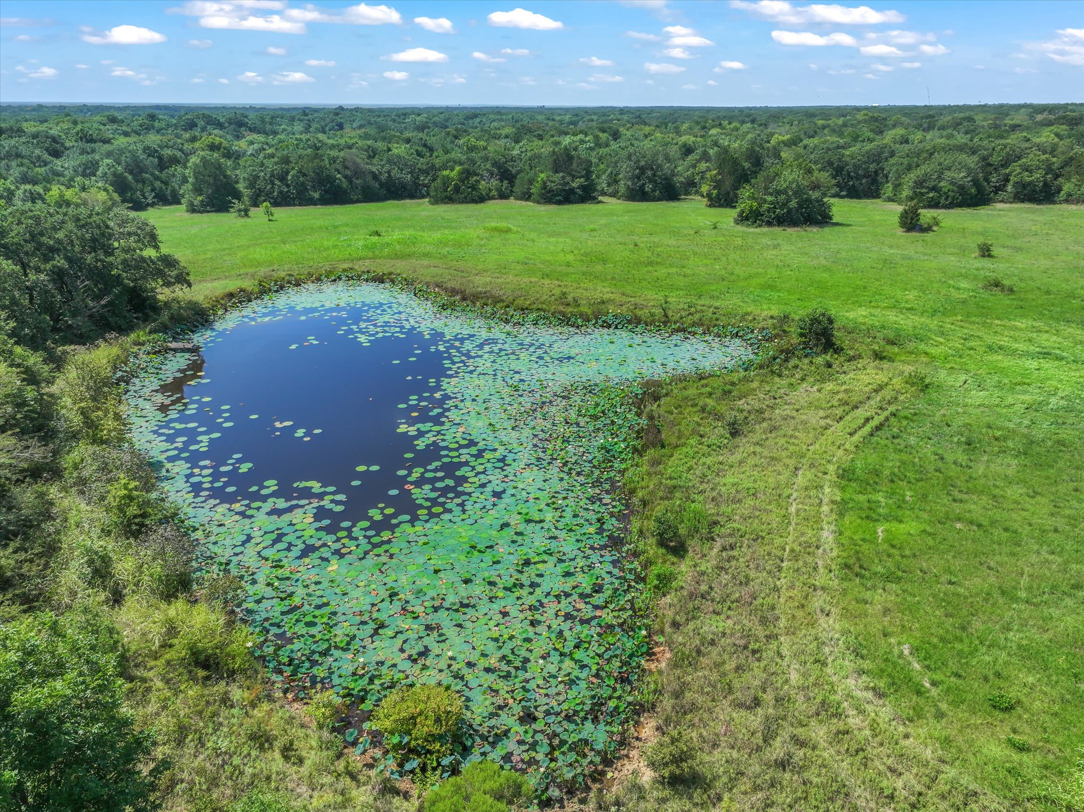 Wills Point, Texas, 75169, United States, 3 Bedrooms Bedrooms, ,3 BathroomsBathrooms,Residential,For Sale,1978262