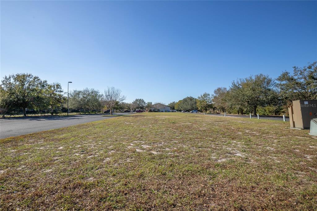 Mount Dora, Florida, 32757, United States, ,Land,For Sale,1856209