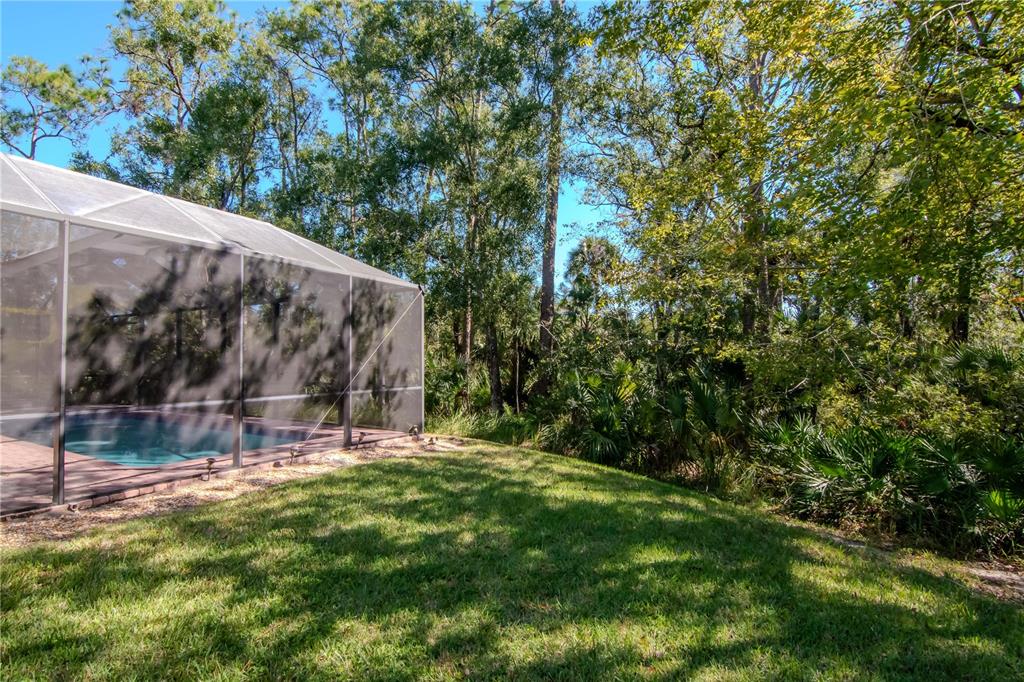 Tampa, Florida, 33647, United States, 4 Bedrooms Bedrooms, ,4 BathroomsBathrooms,Residential,For Sale,1989422