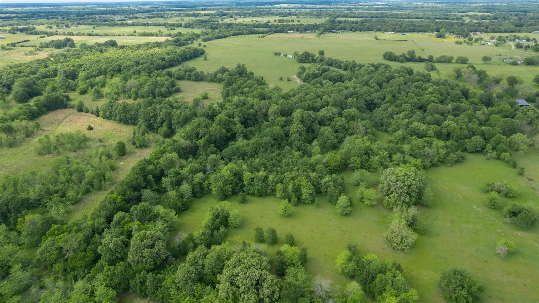 Commerce, Texas, 75428, United States, ,Residential,For Sale,1810631