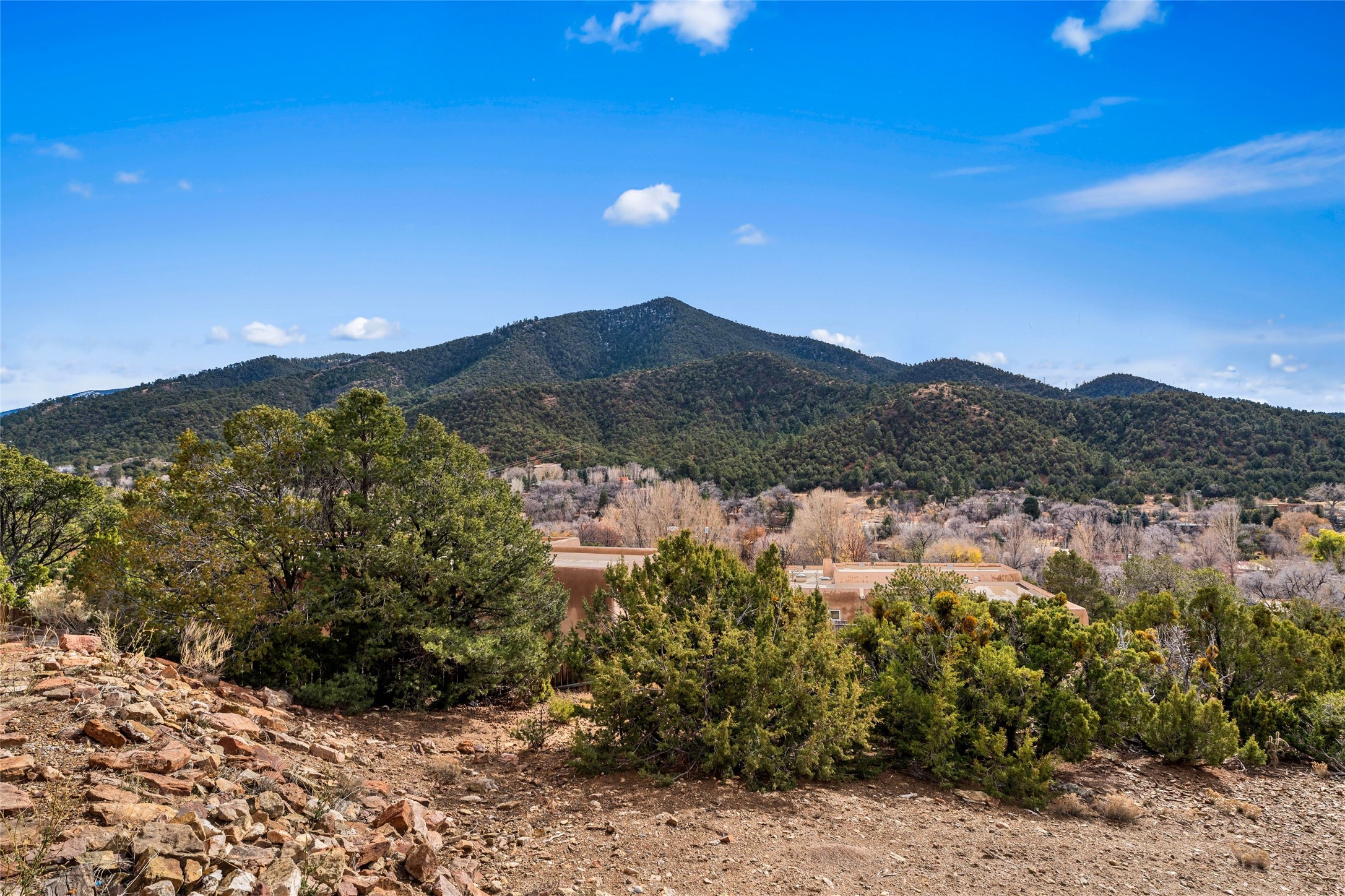  1661 E Cerro Gordo - 物件實景
