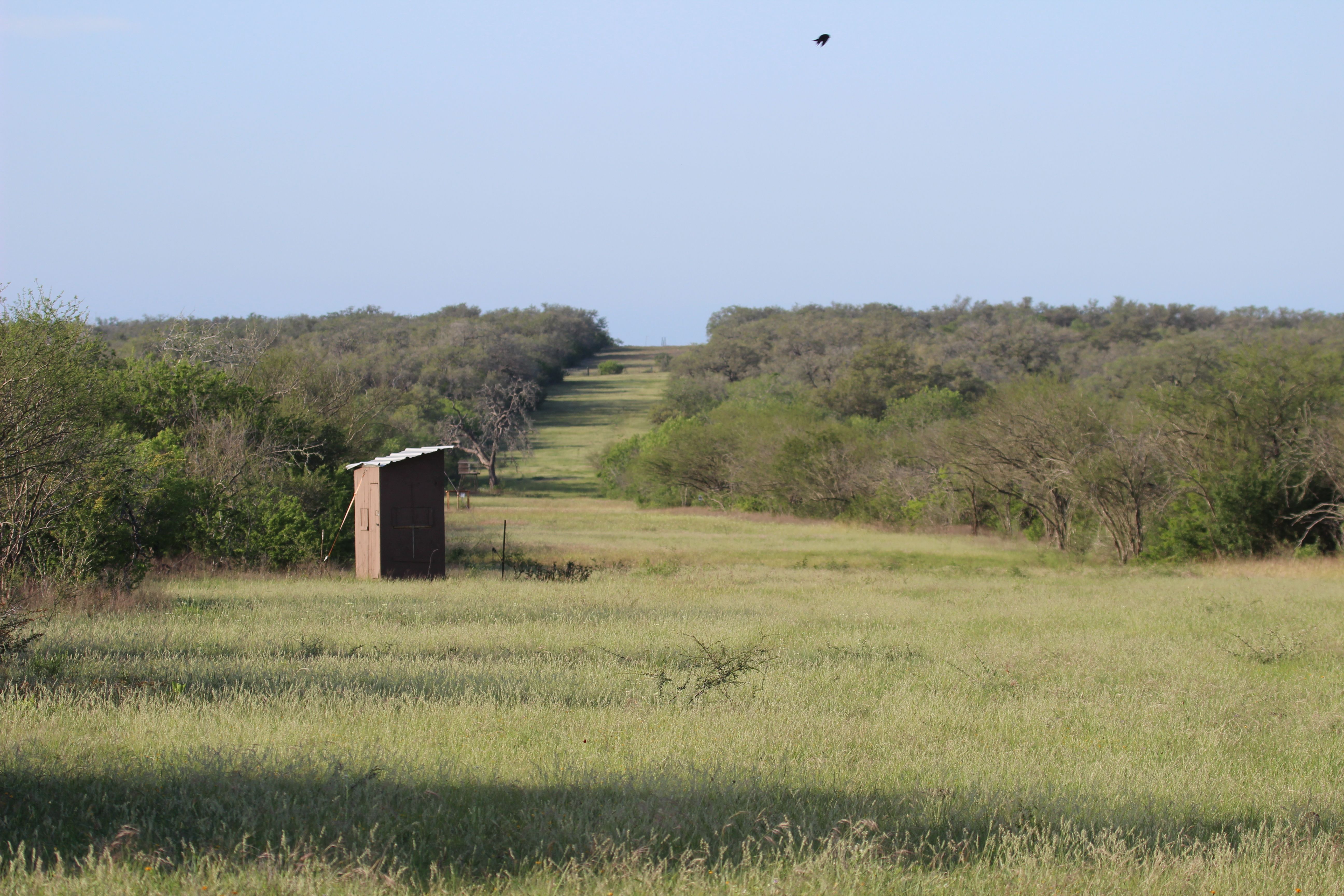  810+/- Acre Cabeza Creek Ranch - 物件實景