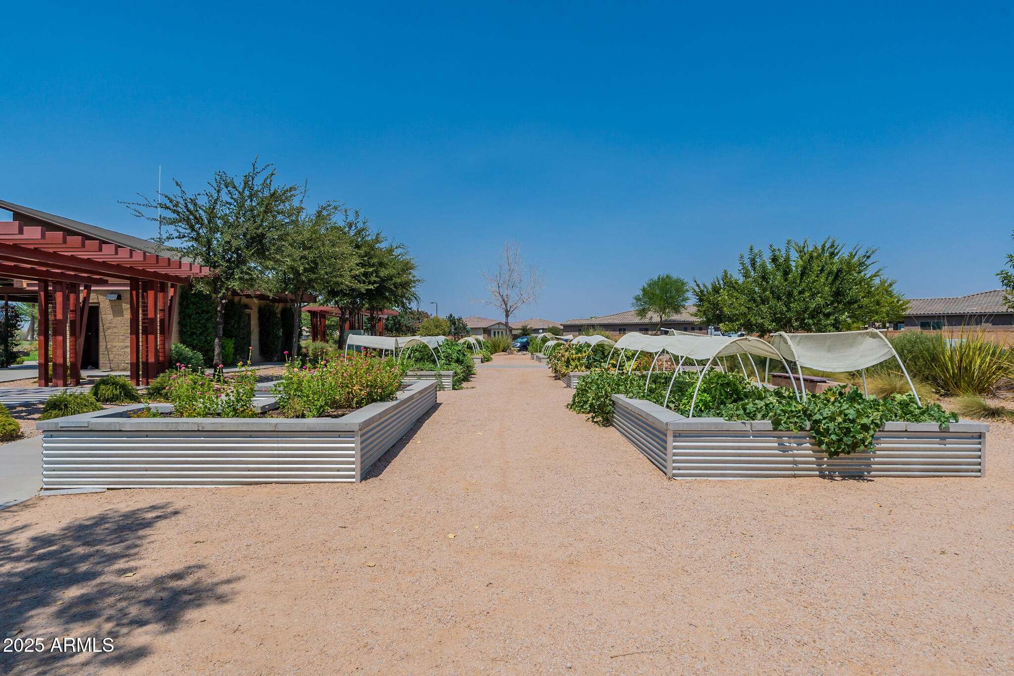 Queen Creek, Arizona, 85142, United States, 4 Bedrooms Bedrooms, ,Residential,For Sale,1866482
