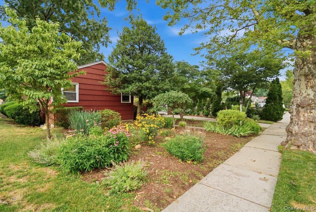Mead Ter, South Hempstead, NY 11550 #1