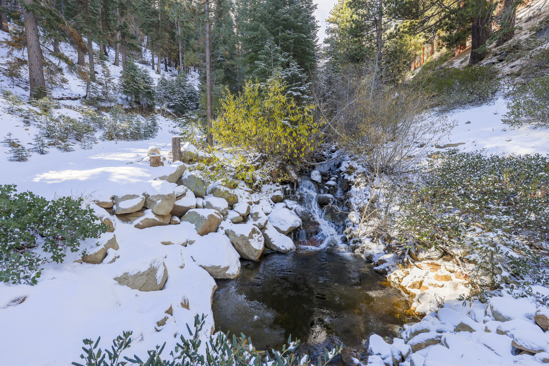  Sierra Sanctuary Lodge on 40 Acres - 物件實景