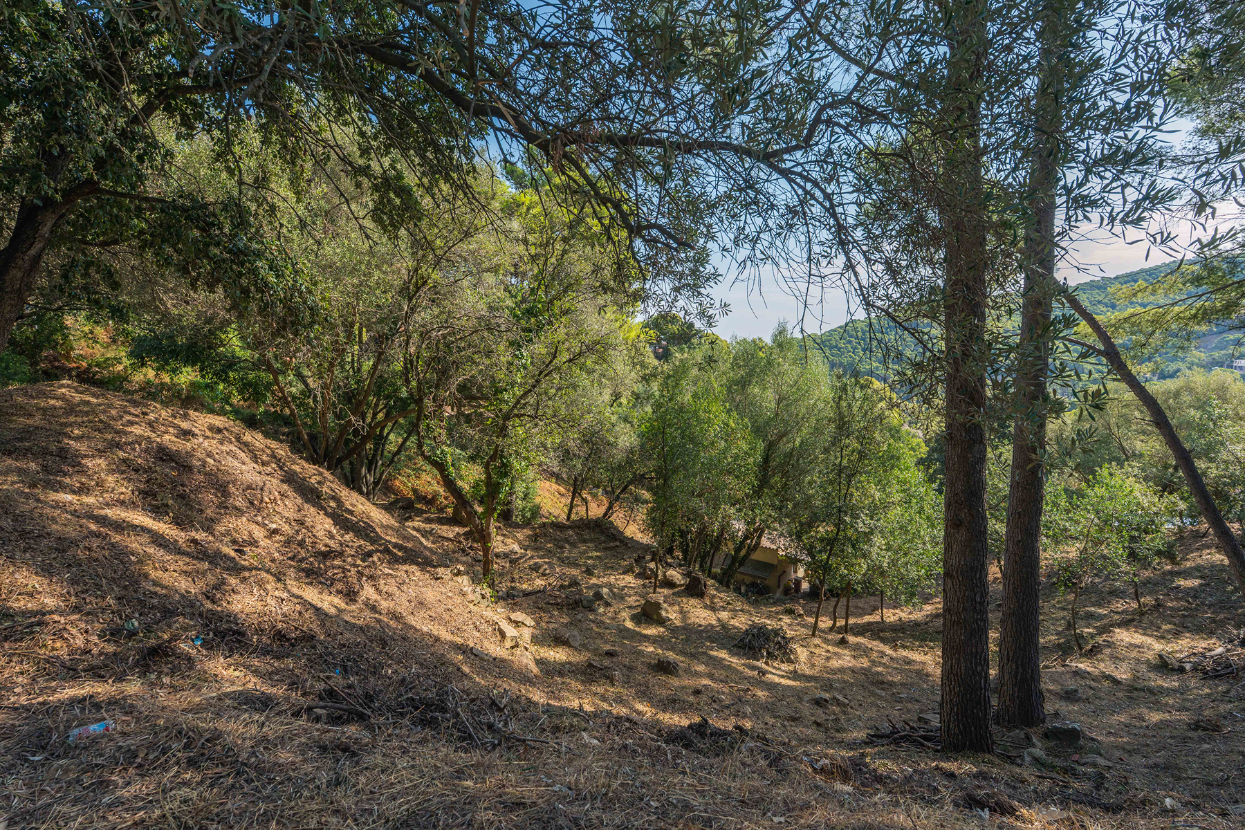  Good plot with a single-family home project in Sa Riera, Begur - 物件實景