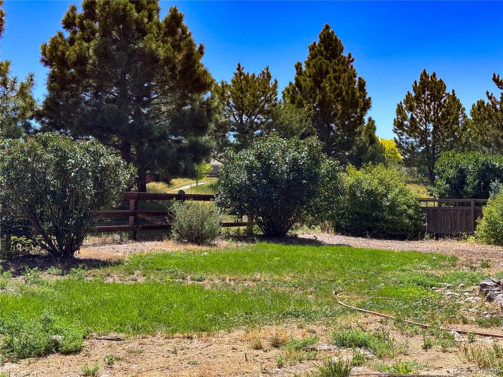 Castle Rock, Colorado, 80109, United States, 3 Bedrooms Bedrooms, ,3 BathroomsBathrooms,Residential,For Sale,1975848