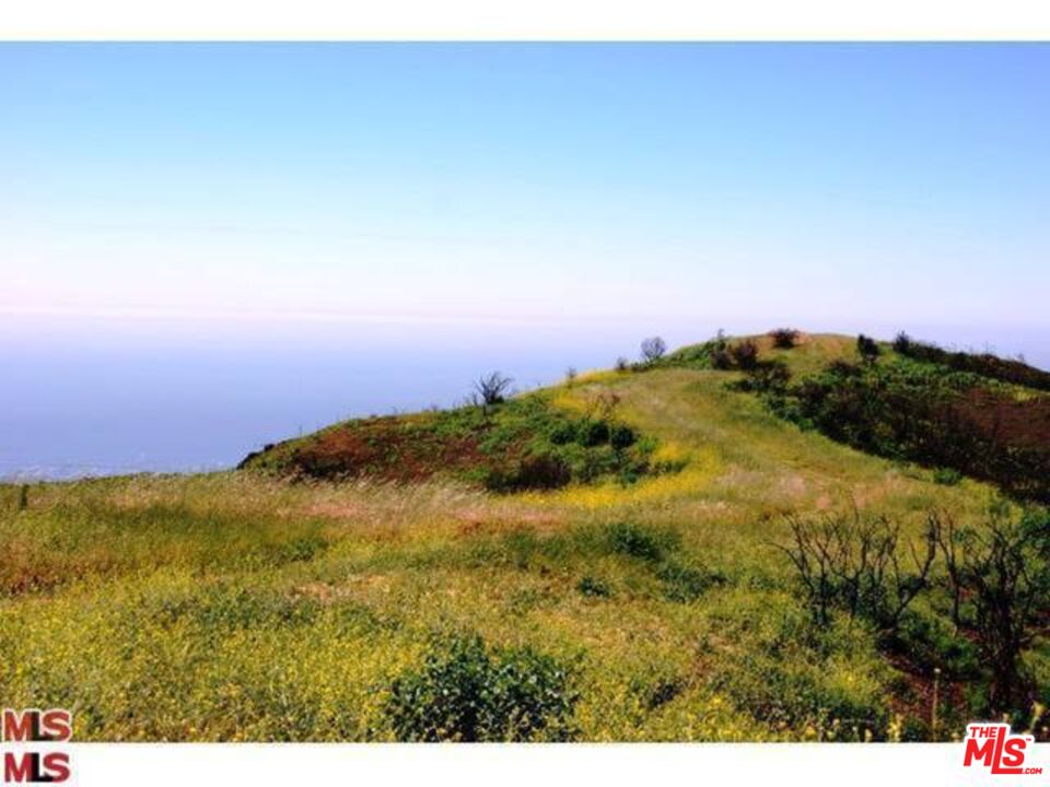 Malibu, California, 90265, United States, ,Land,For Sale,1767391