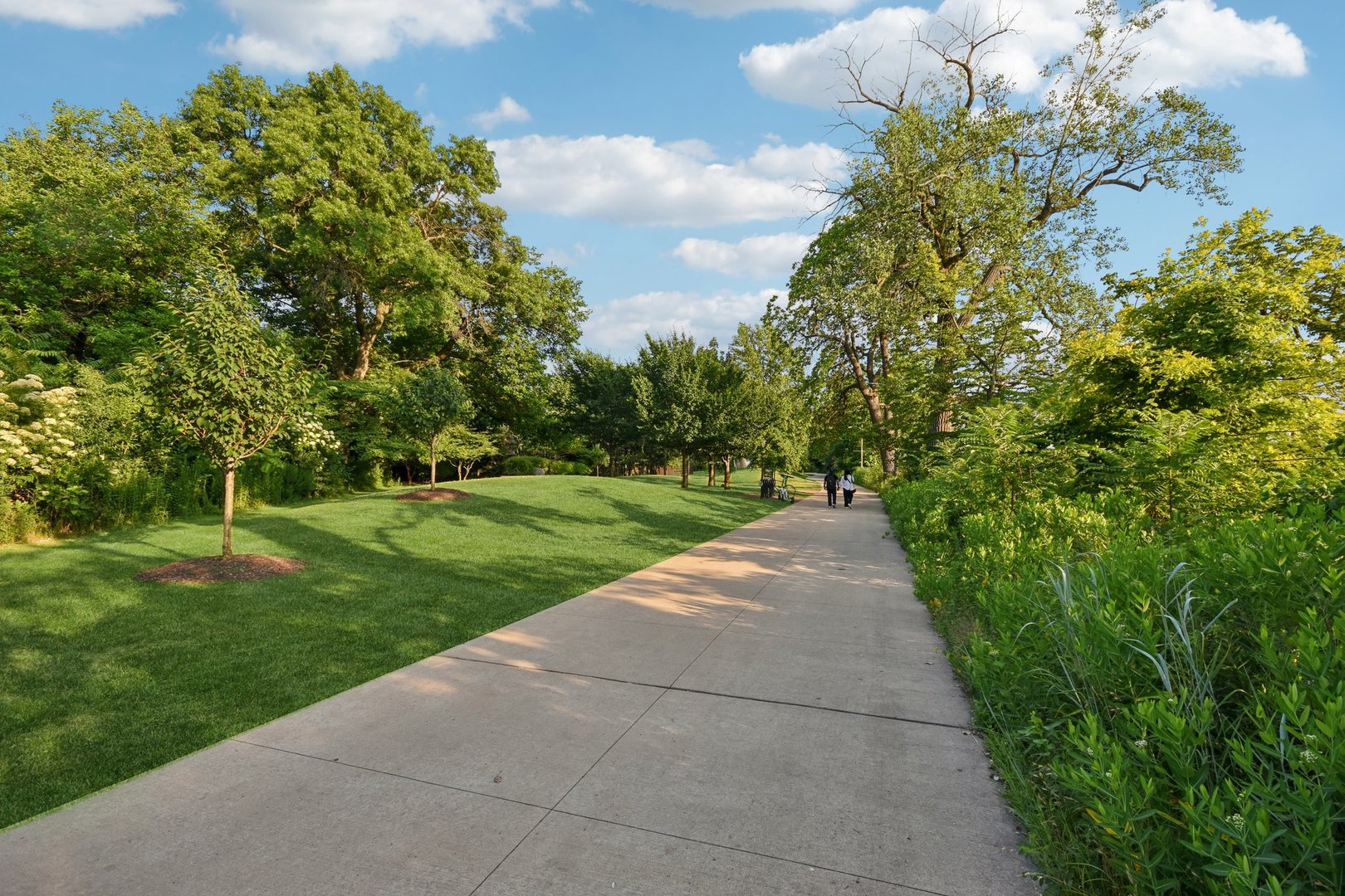 Chicago, Illinois, 60637, United States, 4 Bedrooms Bedrooms, ,4 BathroomsBathrooms,Residential,For Sale,1881153