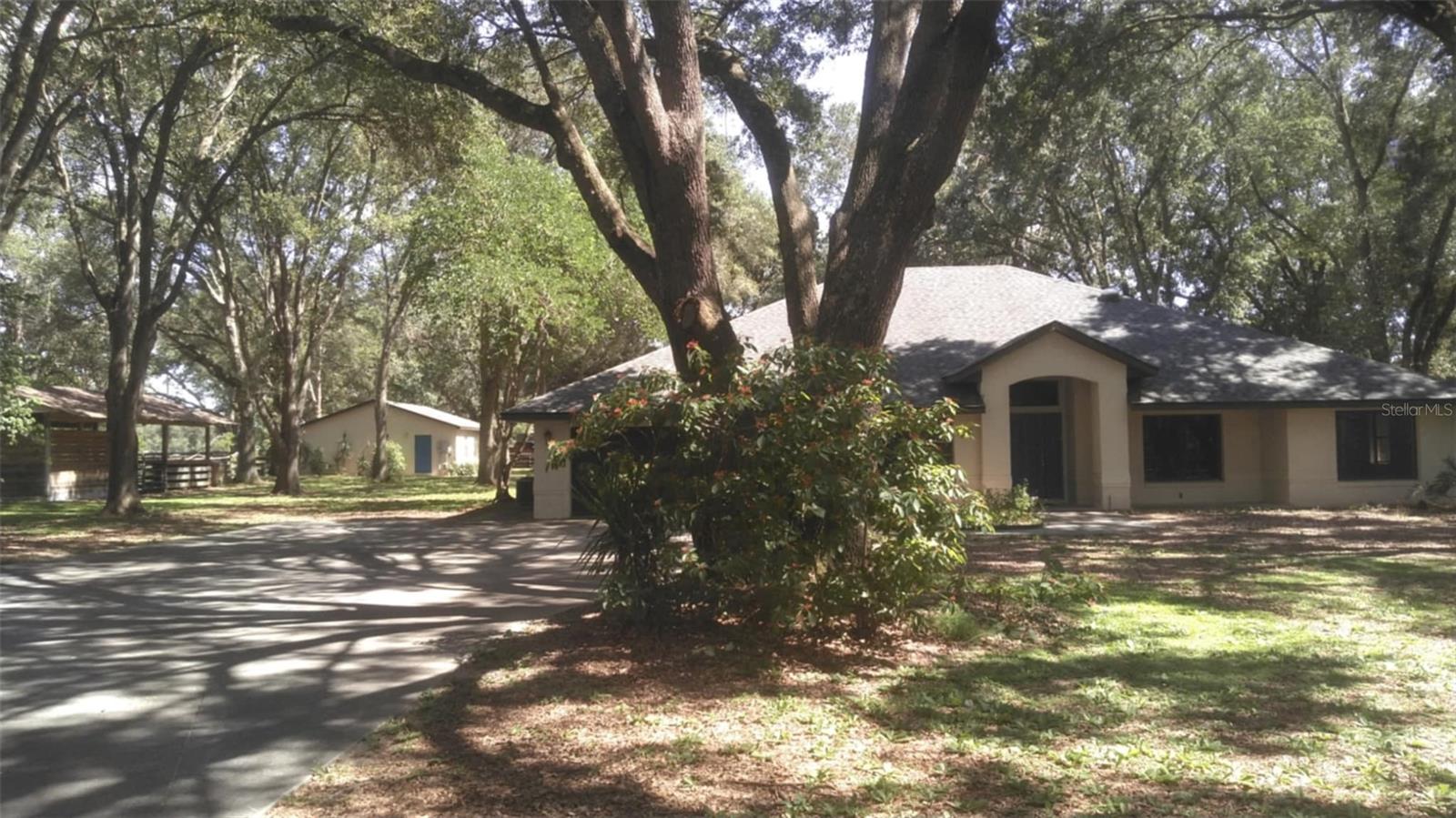 LADY LAKE, Florida, 32159, United States, 5 Bedrooms Bedrooms, ,3 BathroomsBathrooms,Residential,For Sale,1850305
