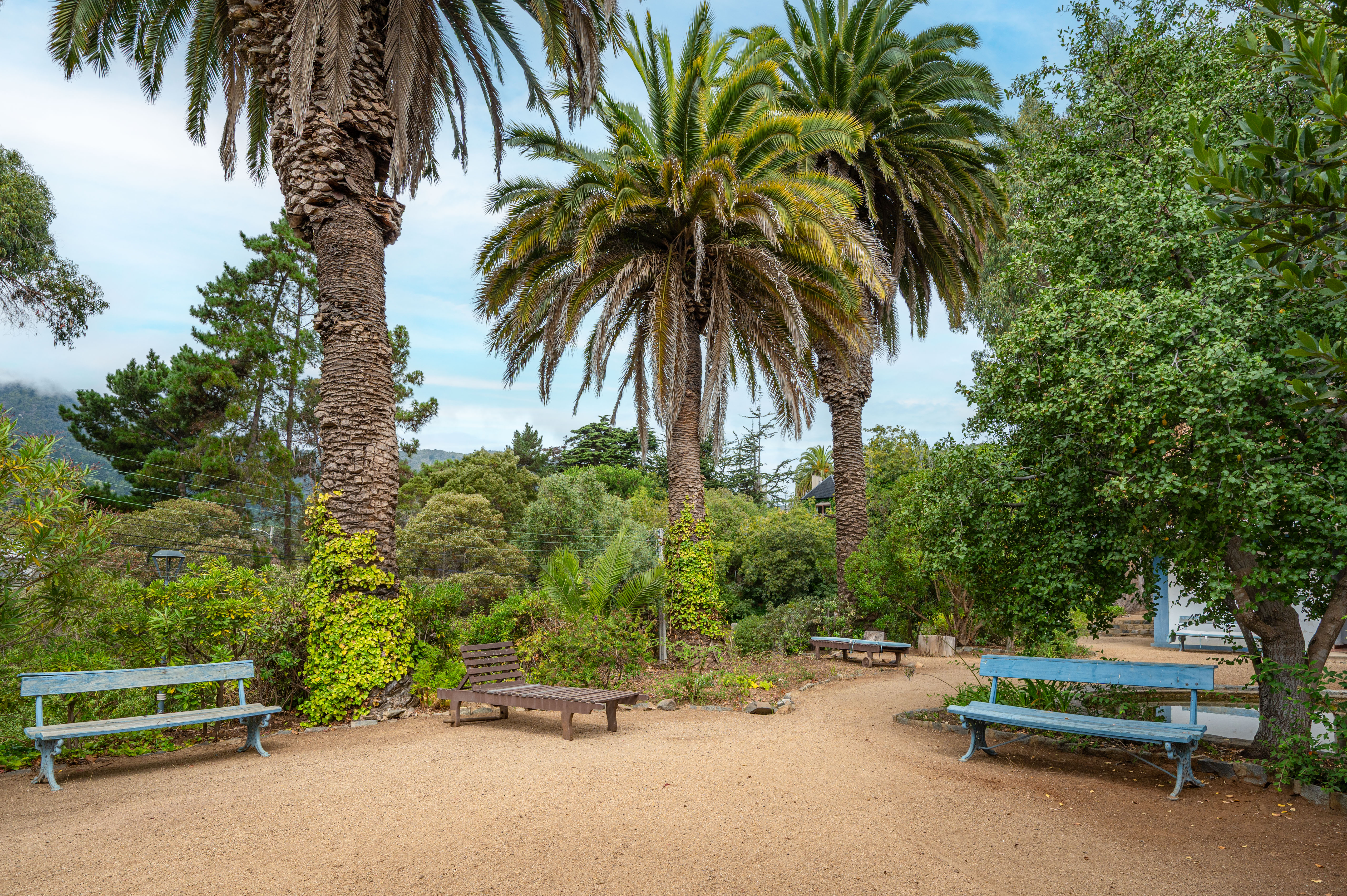  Opportunity to develop an incredible home just steps from Zapallar Beach - 物件實景