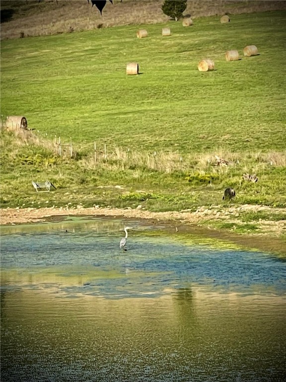 Berryville, Arkansas, 72616, United States, 6 Bedrooms Bedrooms, ,4 BathroomsBathrooms,Residential,For Sale,1988341