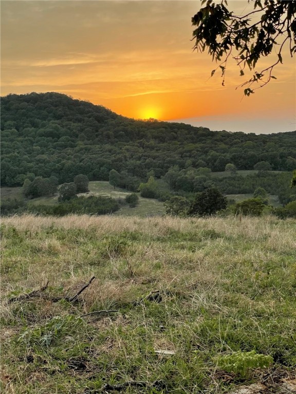 Berryville, Arkansas, 72616, United States, 6 Bedrooms Bedrooms, ,4 BathroomsBathrooms,Residential,For Sale,1988341