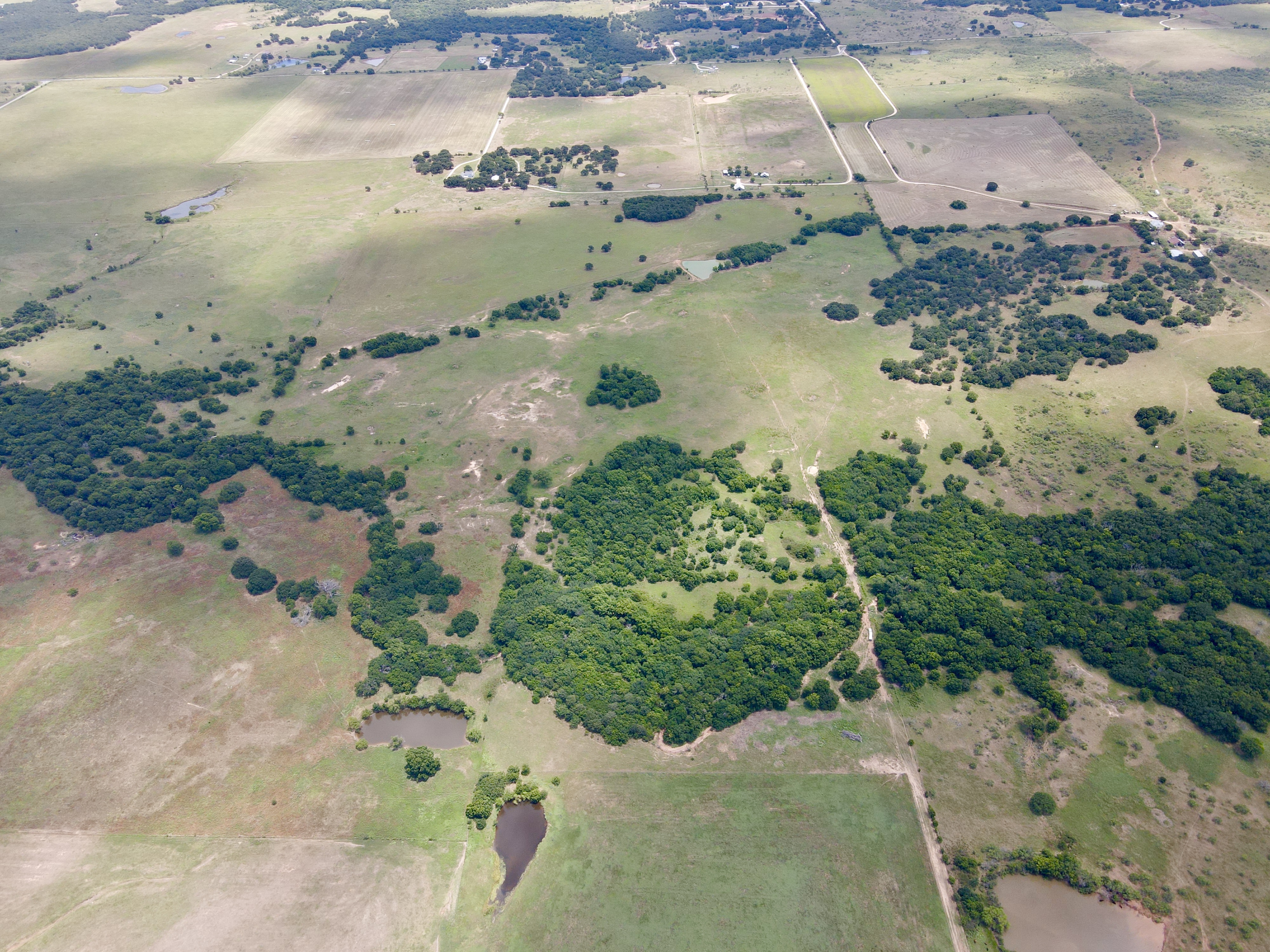 TBD Hwy 103, Nocona, Texas, 76255, United States, ,Residential,For Sale,TBD Hwy 103,1295999