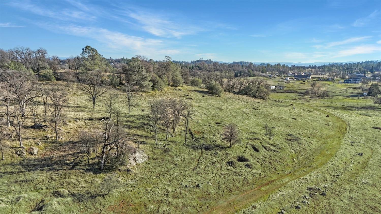 Cool, California, 95614, United States, ,Land,For Sale,1994251