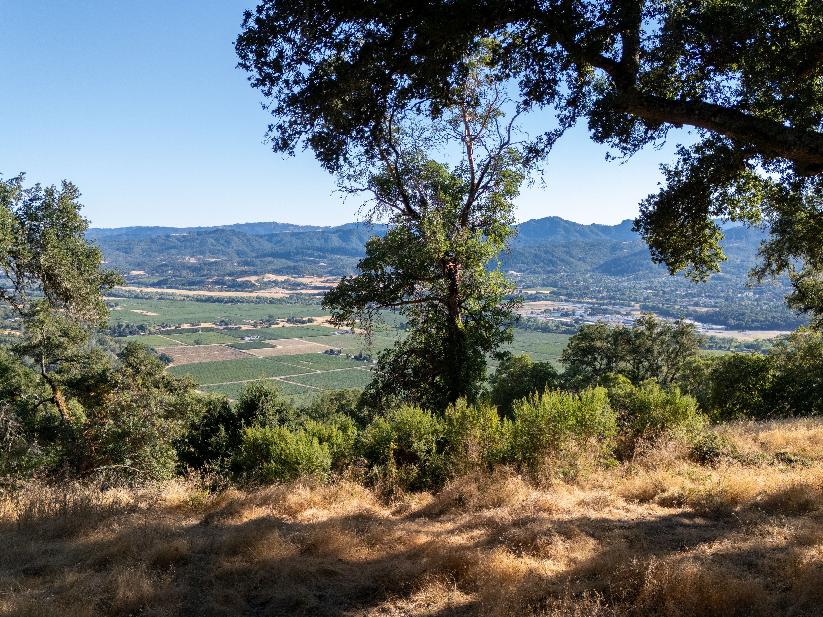  Very Rare Opportunity Alexander Valley Ranch - 物件實景