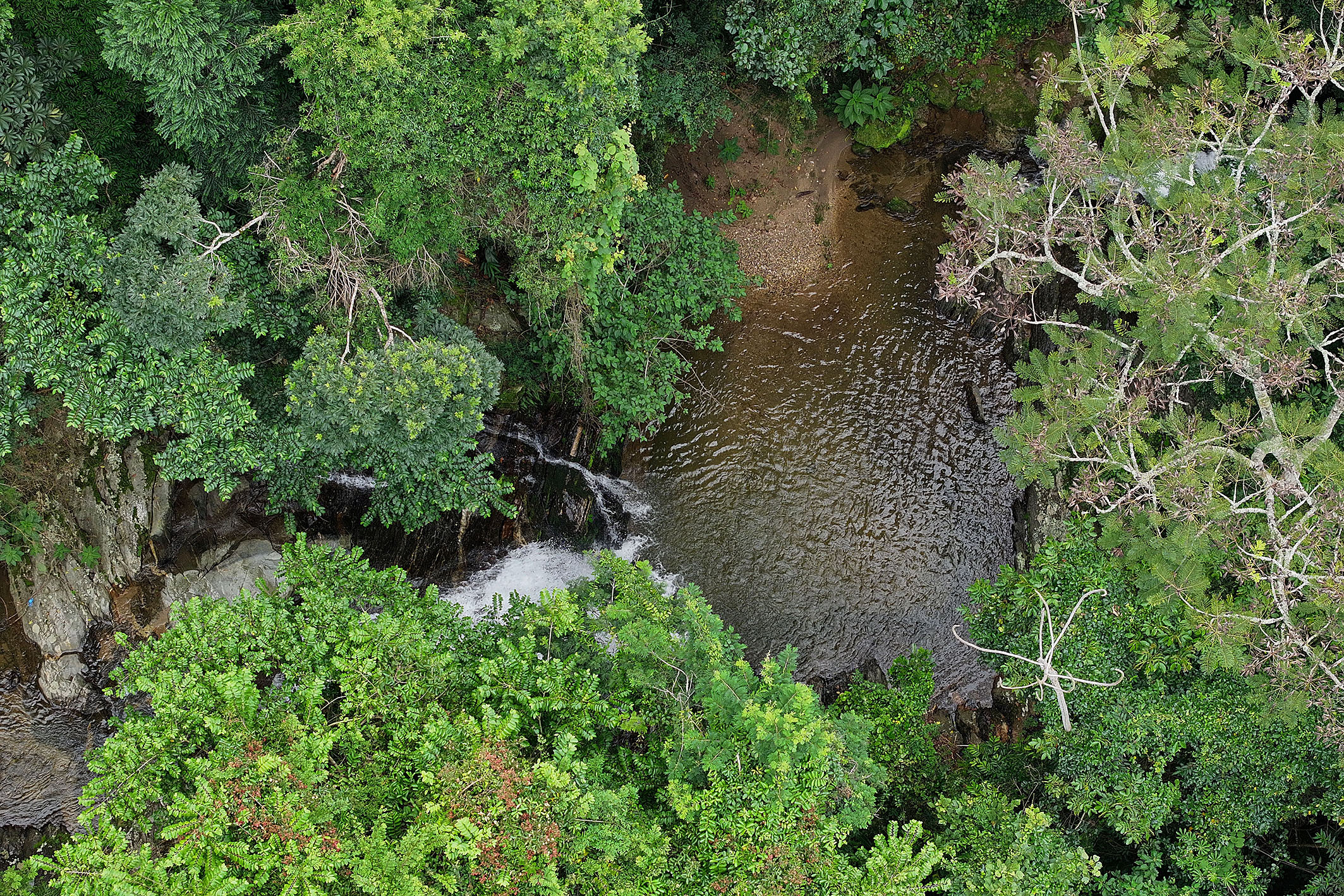  Historic estate with native forest, waterfalls, and ecotourism potential - 物件實景