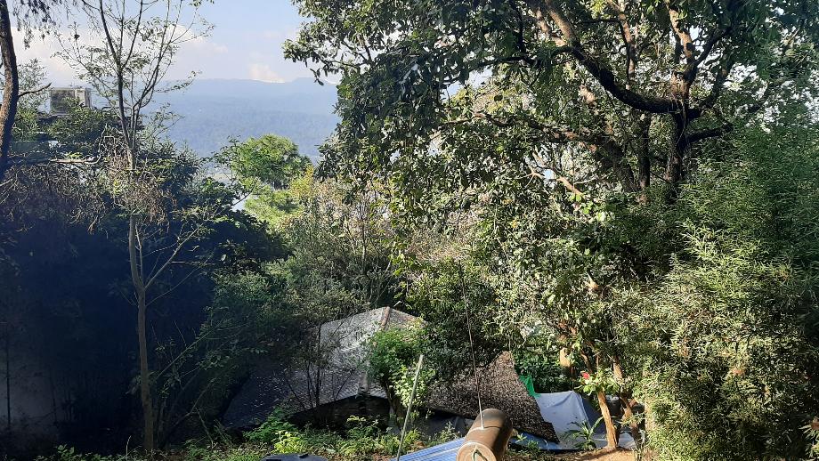 Valle de Bravo, Estado de méxico, 51200, Mexico, 1 Bedroom Bedrooms, ,Residential,For Sale,1721509