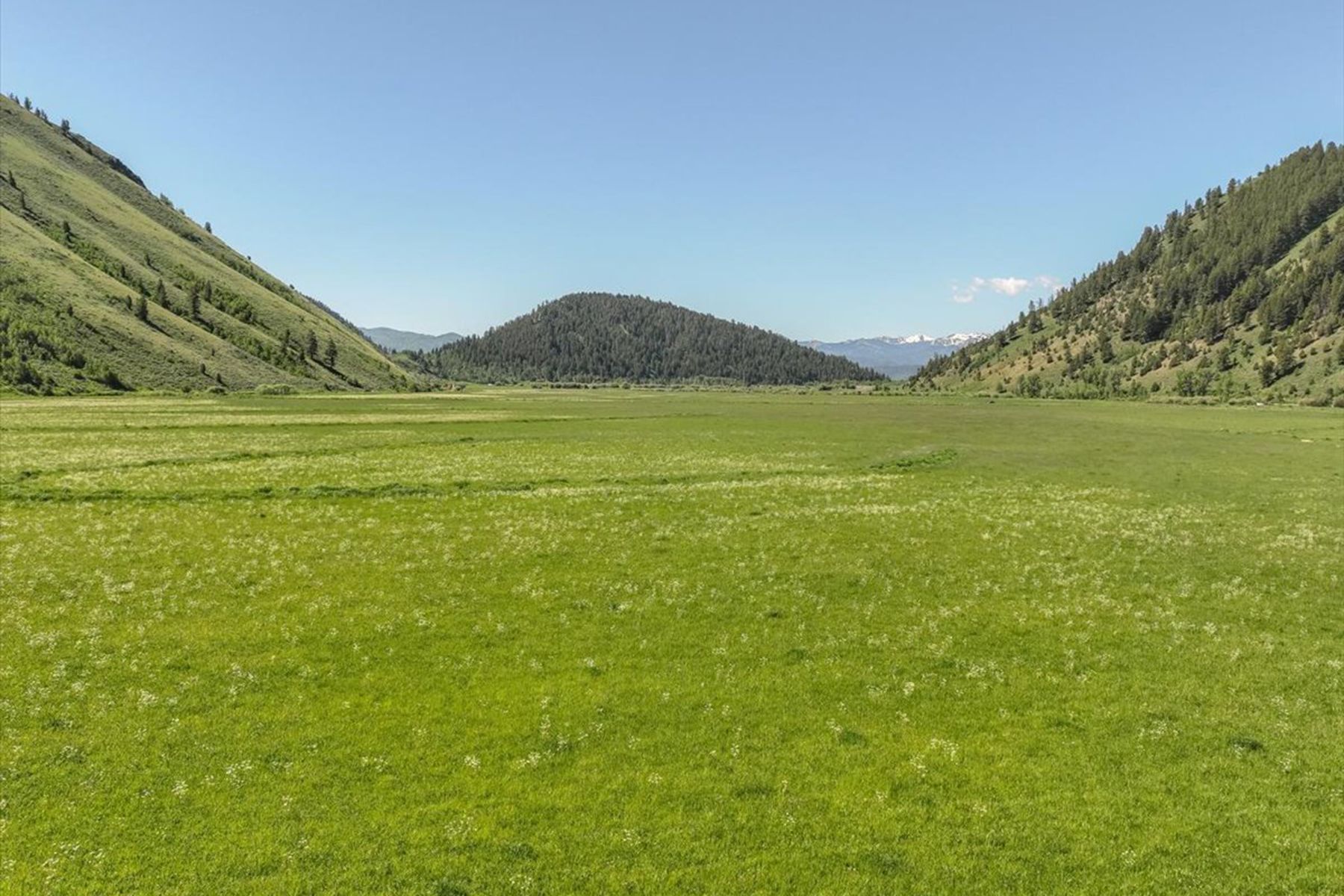  The Mead Ranch - 物件實景