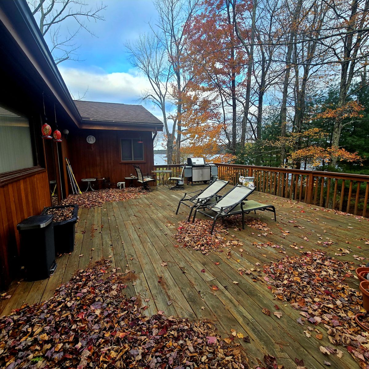 Forestburgh, New York, 12777, United States, 3 Bedrooms Bedrooms, ,2 BathroomsBathrooms,Residential,For Sale,1990436