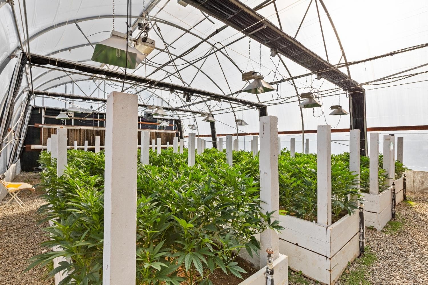 Mountain Ranch, California, 95246, United States, ,Land,For Sale,1981446