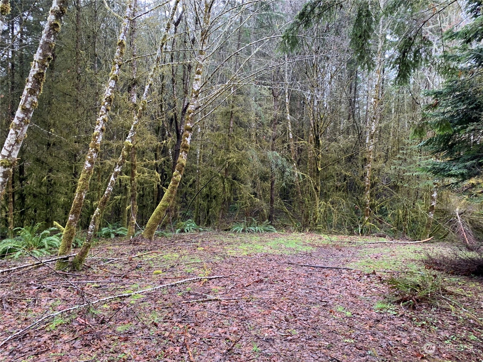 0 Fallert Road, Kalama, Washington, 98625, United States, ,Land,For Sale,0 Fallert Road,1273199