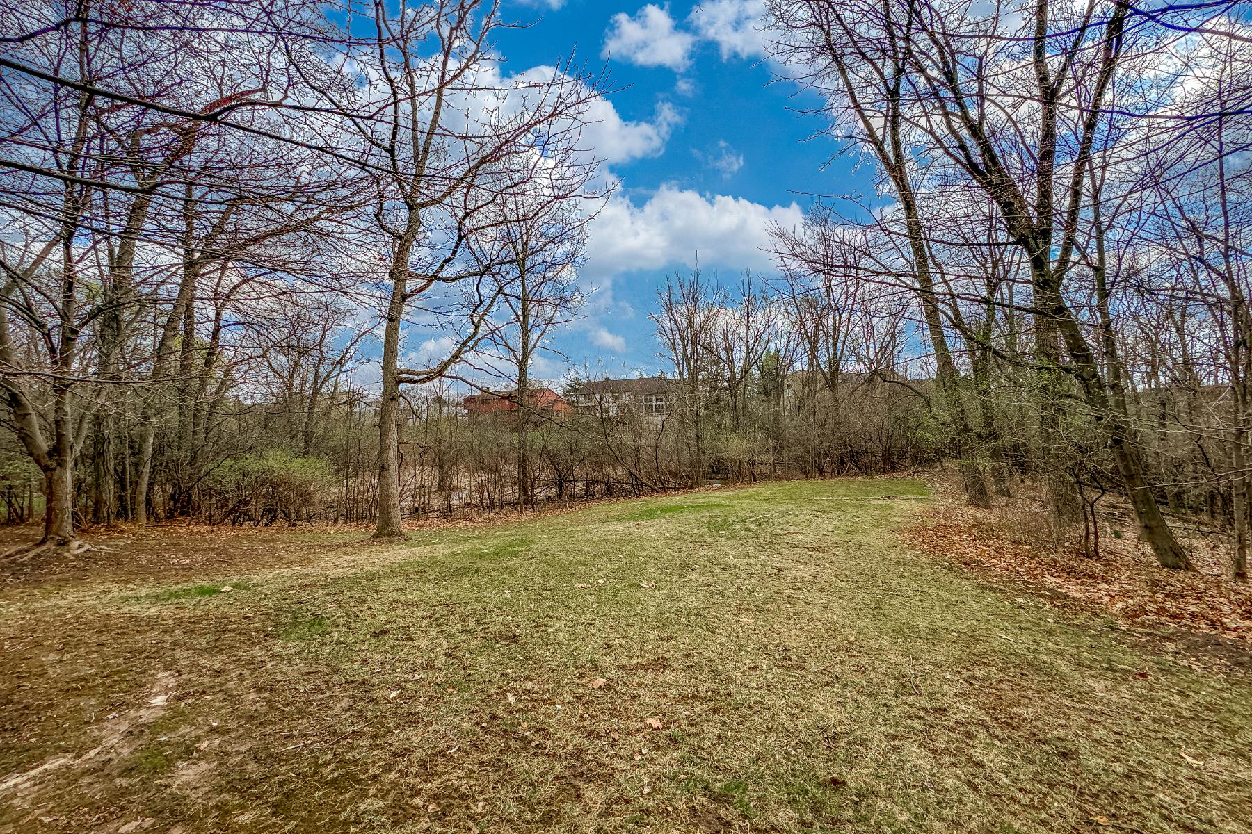  West Bloomfield Twp - 物件實景