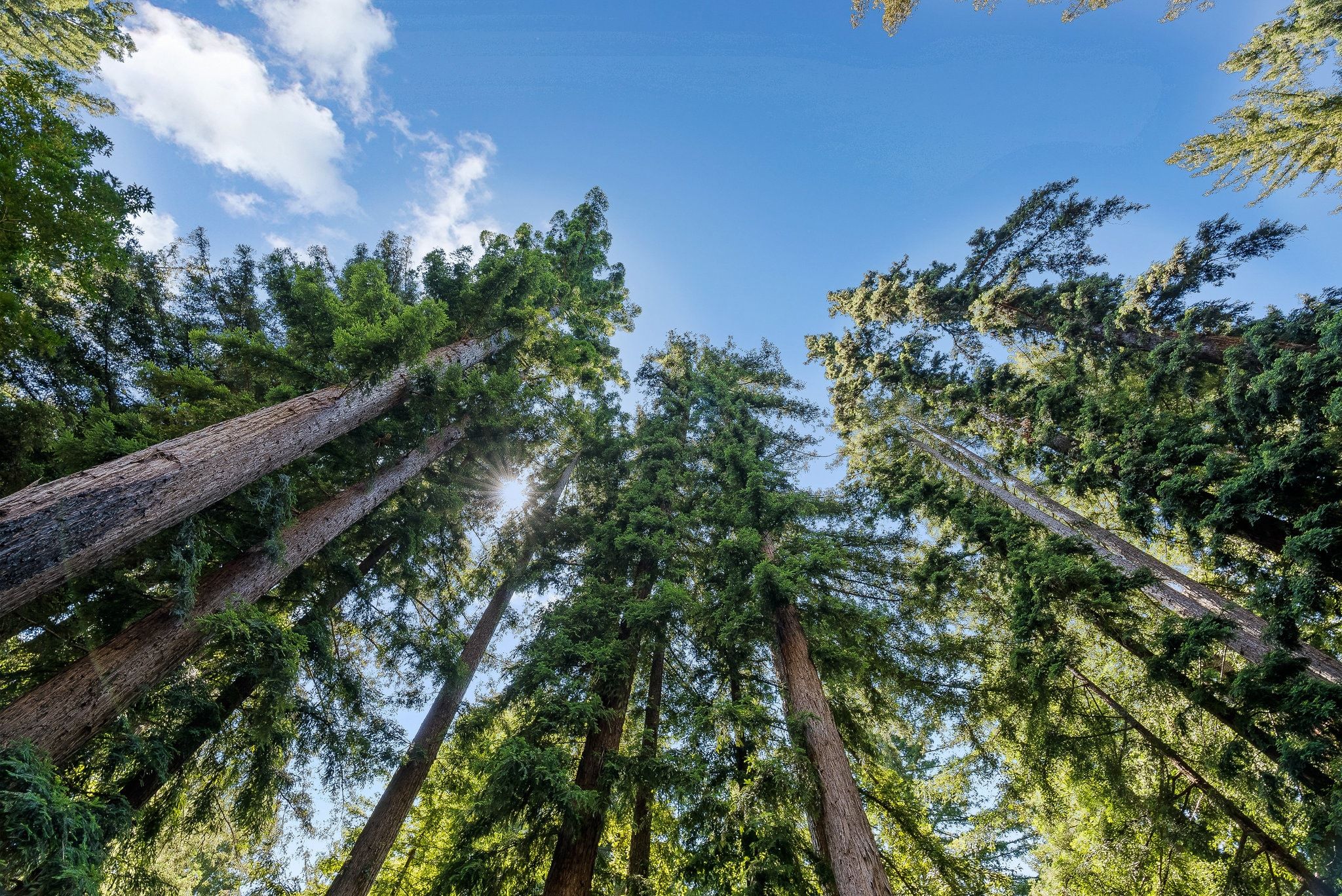  255 Brookside Drive - 物件實景