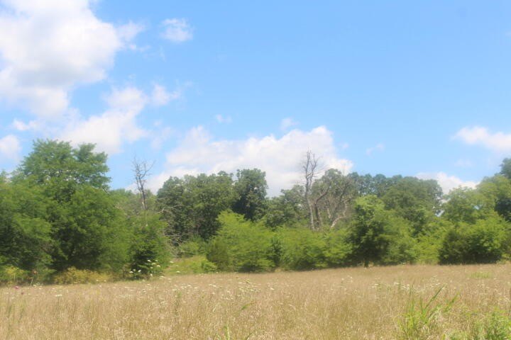 Polk, Missouri, 65727, United States, ,Land,For Sale,1980569