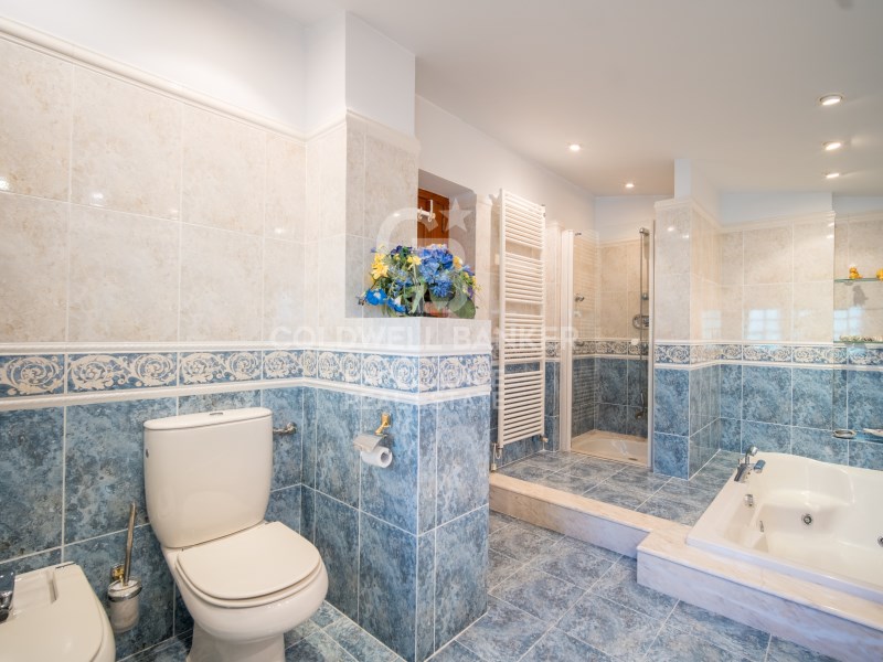 Chiva, Comunidad Valenciana, ES, 6 Bedrooms Bedrooms, ,7 BathroomsBathrooms,Residential,For Sale,1817854