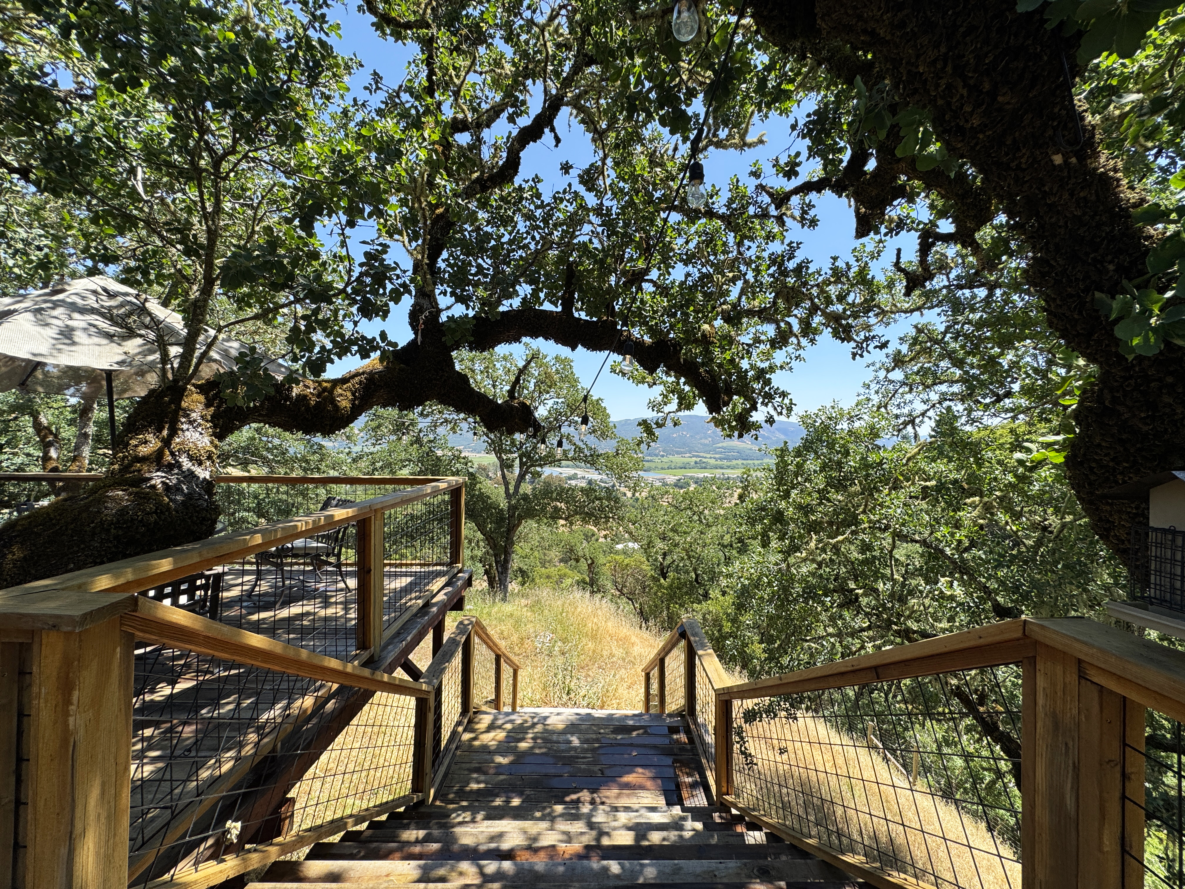 Ukiah, California, 95482, United States, 3 Bedrooms Bedrooms, ,2 BathroomsBathrooms,Residential,For Sale,1879134