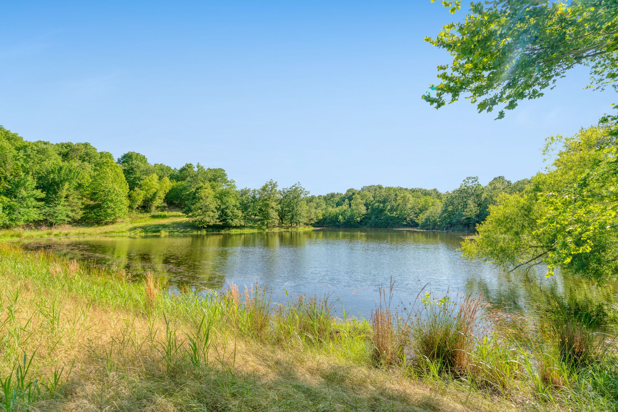 Powderly, Texas, 75473, United States, 3 Bedrooms Bedrooms, ,2 BathroomsBathrooms,Land,For Sale,1917710