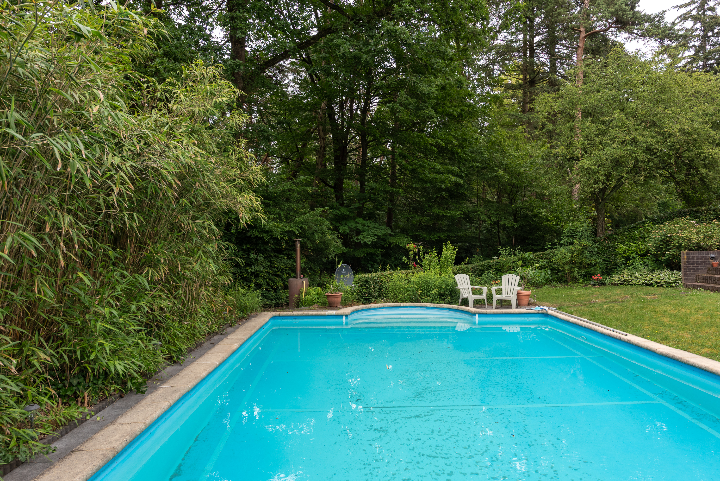  Hidden Woodland Estate with Exceptional Privacy on the Utrechtse Heuvelrug - 物件實景