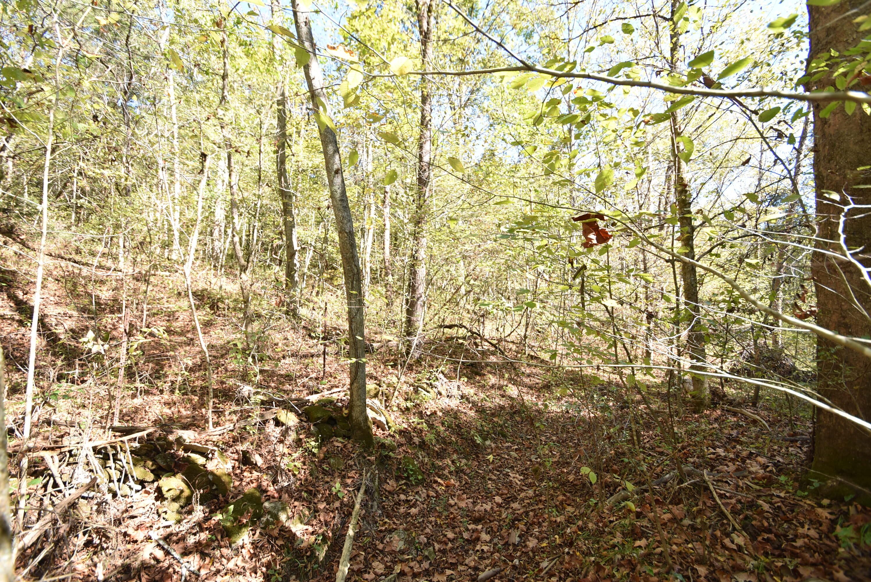 Willisburg, Kentucky, 40078, United States, 4 Bedrooms Bedrooms, ,1 BathroomBathrooms,Residential,For Sale,1962831