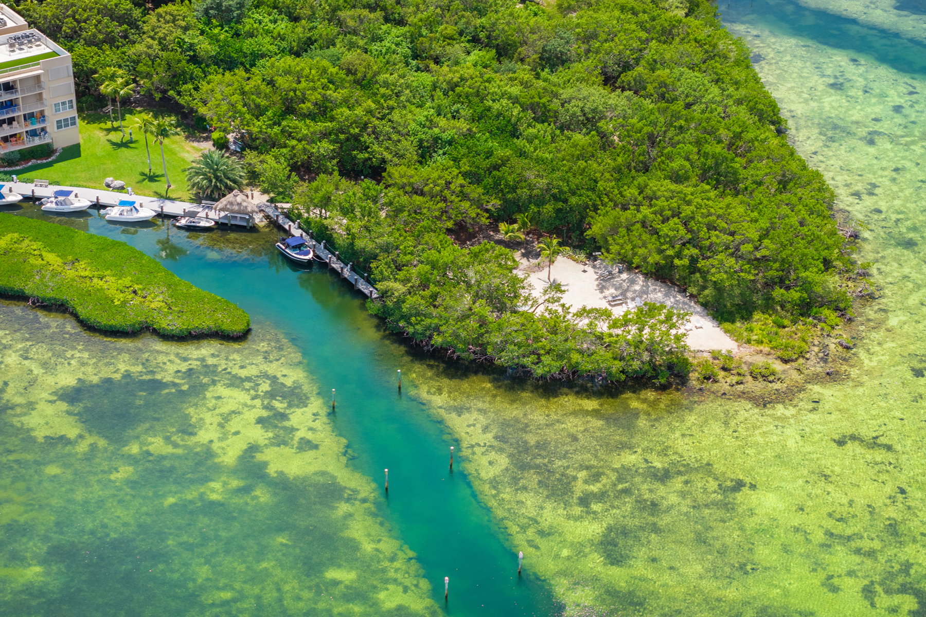  88500 Overseas Highway #407 - 物件實景