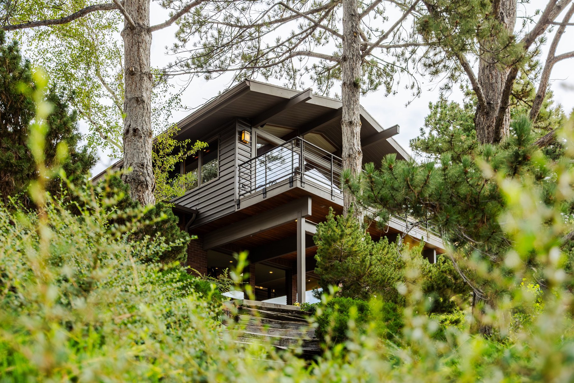  In the Tree Midcentury Modern Backing up to Shoreline Trail - 物件實景