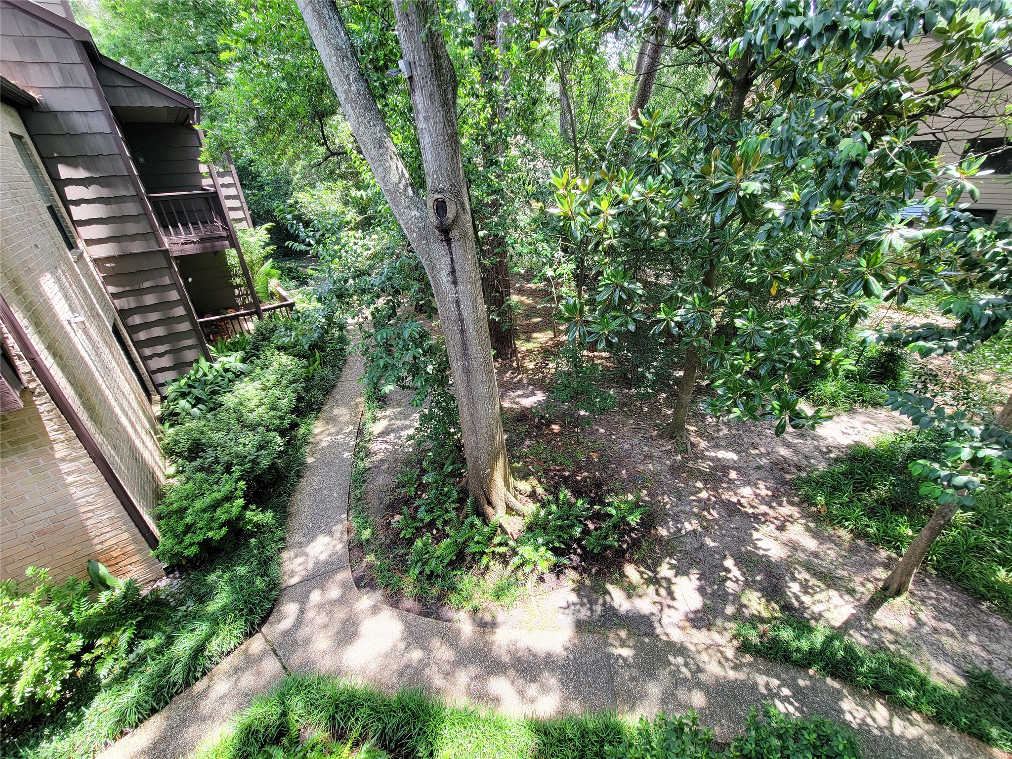  11711 Memorial Drive #565 - 物件實景