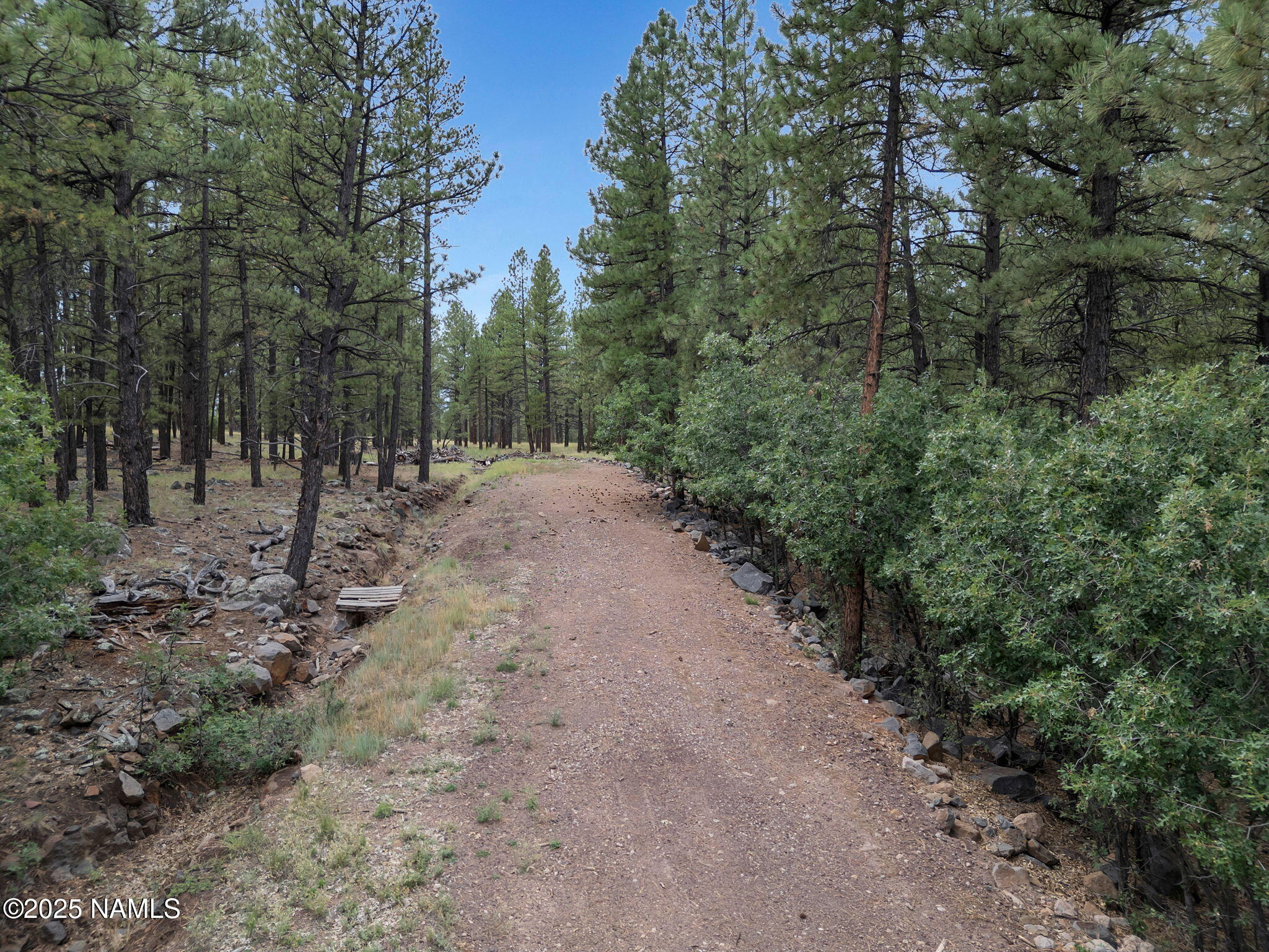 Flagstaff, Arizona, 86001, United States, ,Land,For Sale,1948051